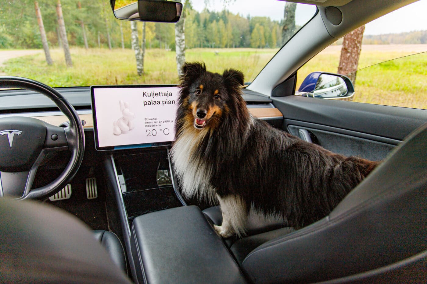Teslan "koira autossa" eli Dog Mode -ilmoitus